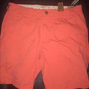 Men’s Coral Hollister shorts